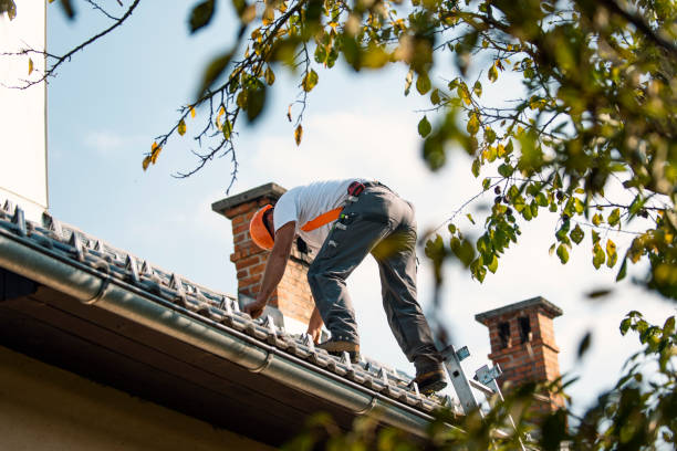 Best Flat Roof Repair Services  in Springville, VA