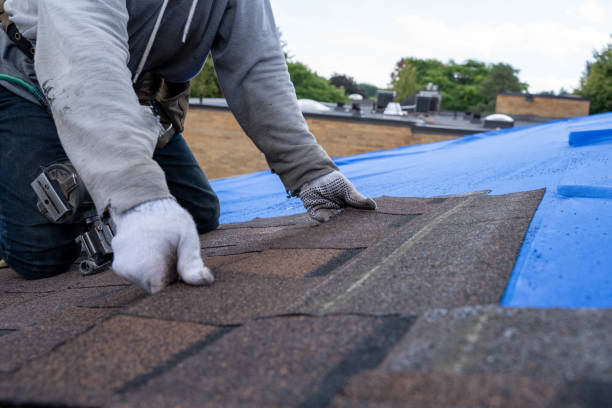 Best Roof Leak Repair  in Springville, VA