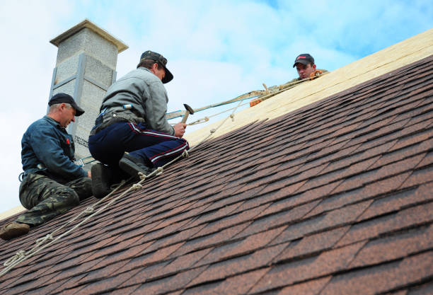 Best Roof Waterproofing Services  in Springville, VA